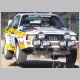 audi_quattro_rally_car.jpg